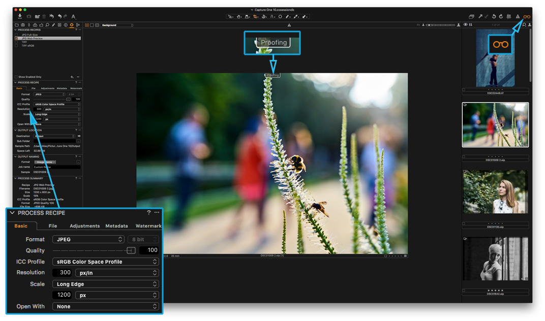 ^NEW^ Download Capture One Pro 10.1 – Professional RAW Converter c10_2output