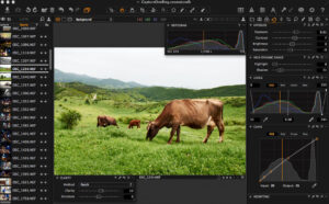 Capture One Pro 8 Review