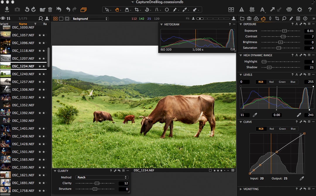Capture One Pro 8 Review 