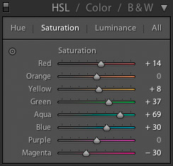 These Lightroom HSL sliders are sorely missed by many in Capture One.