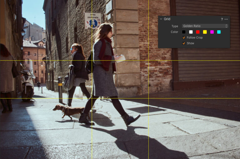 Capture One 12.1 New Features Overview