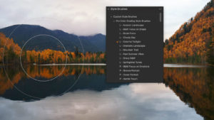 Capture One Color Grading Style Brushes