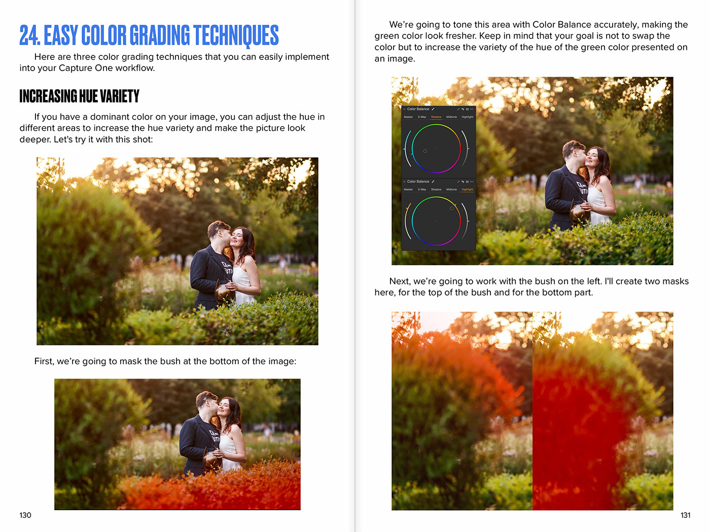 Capture One Book Color Grading Techniques