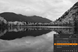 Capture One Film Styles B&W Black and White