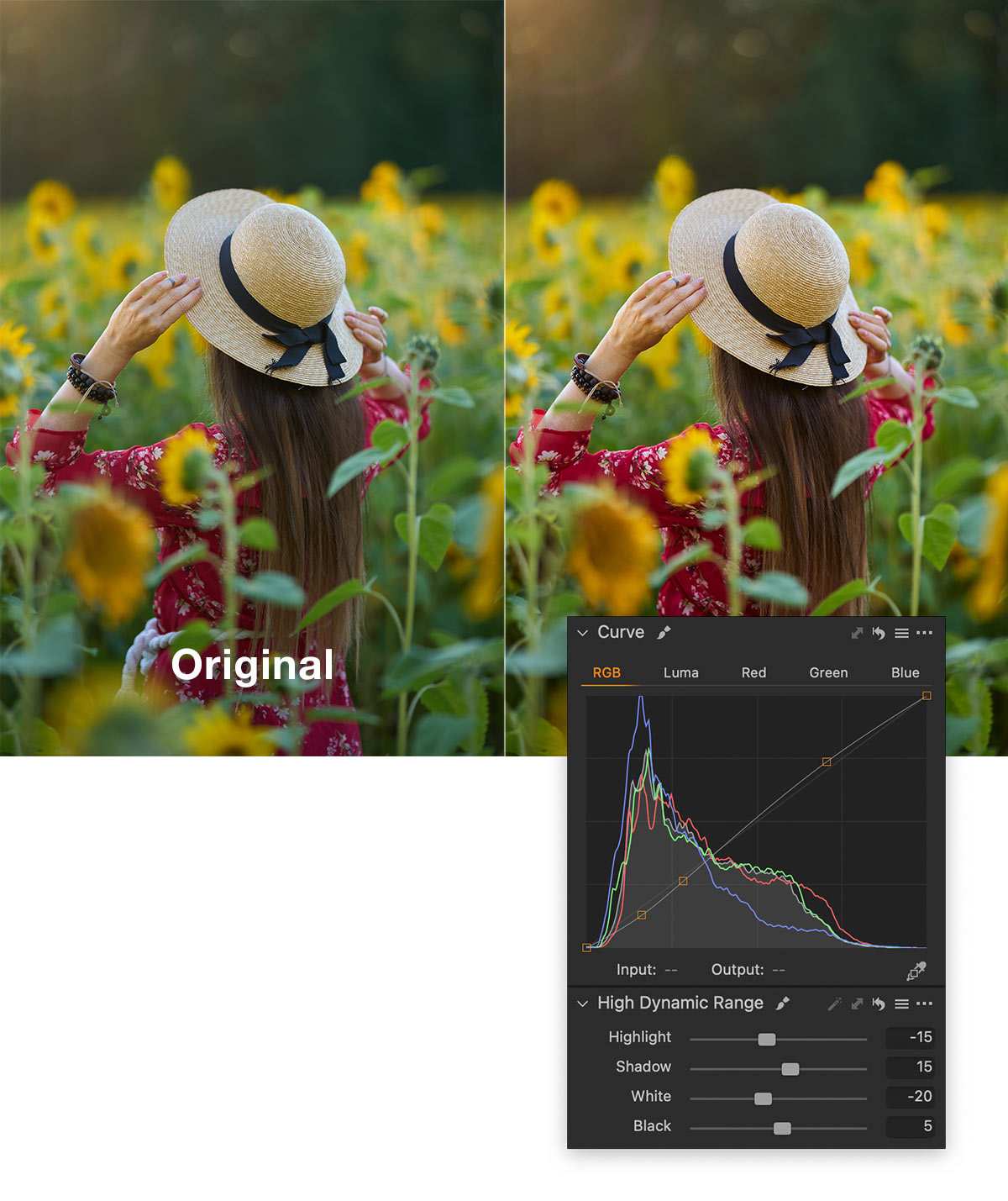 How to Emulate Film Look in Capture One