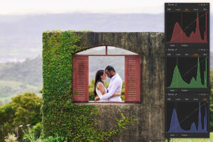 Capture One Film Look RAW