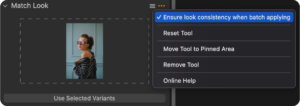 Capture One Match Look Batch Editing