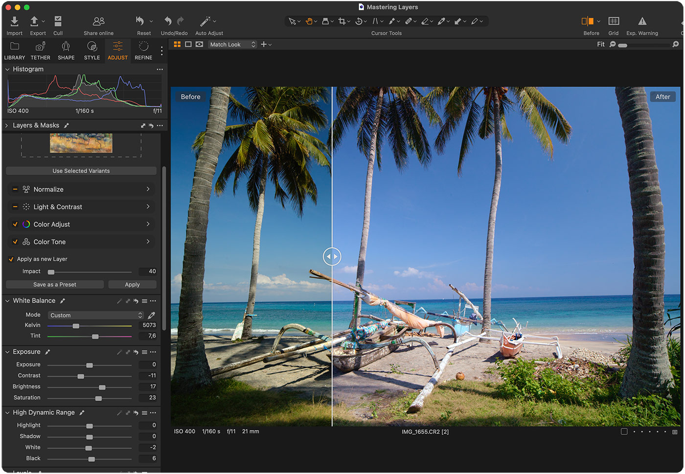 Capture One Match Look Landscape