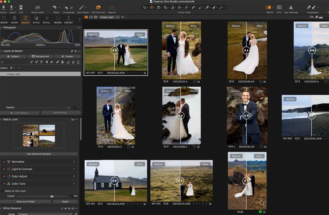 Capture One Match Look Batch Editing