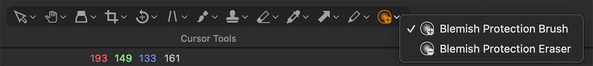Capture One Blemish Protection
